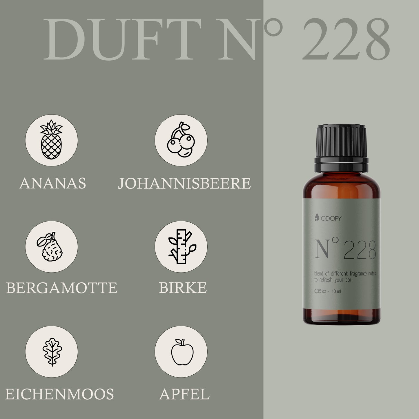 Silver Freshener + Duft (10ml)